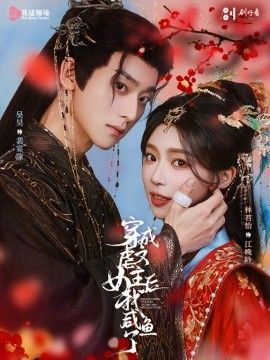 剧集-风骚律师